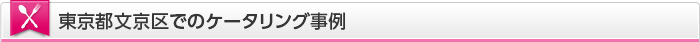 東京都文京区でのケータリング事例