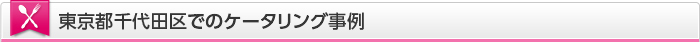 東京都千代田区でのケータリング事例