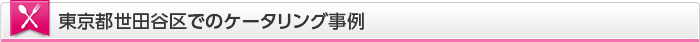 東京都世田谷区でのケータリング事例