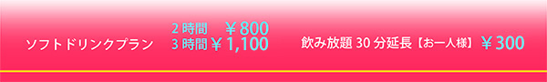 ソフトドリンクプラン【お一人様】2時間800円 3時間1100円　飲み放題30分延長【お一人様】300円