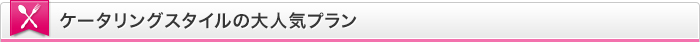 ケータリングスタイルの大人気プラン